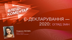 Е-декларування -2020: огляд змін